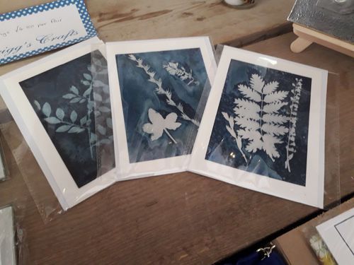 Cyanotypes on Paper