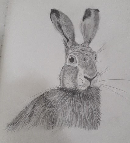 Drawing 6 Week Course