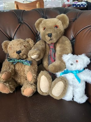 Learn to Make Jointed Teddy Bears